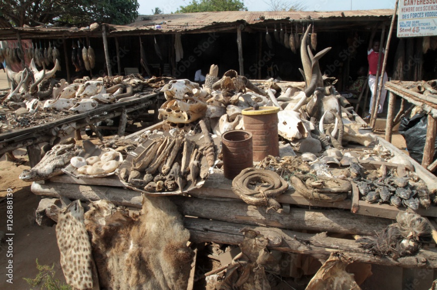 Photo Stock Marché aux fétiches d'Akodessewa. Lomé. Togo. | Adobe Stock