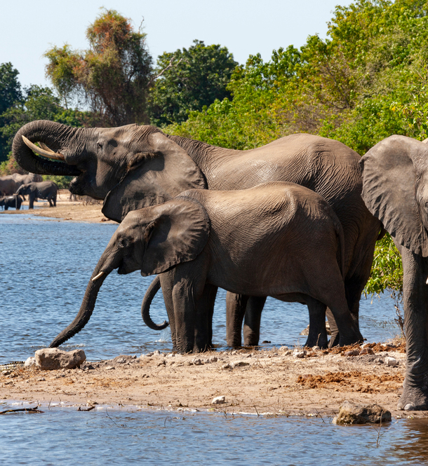 Botswana