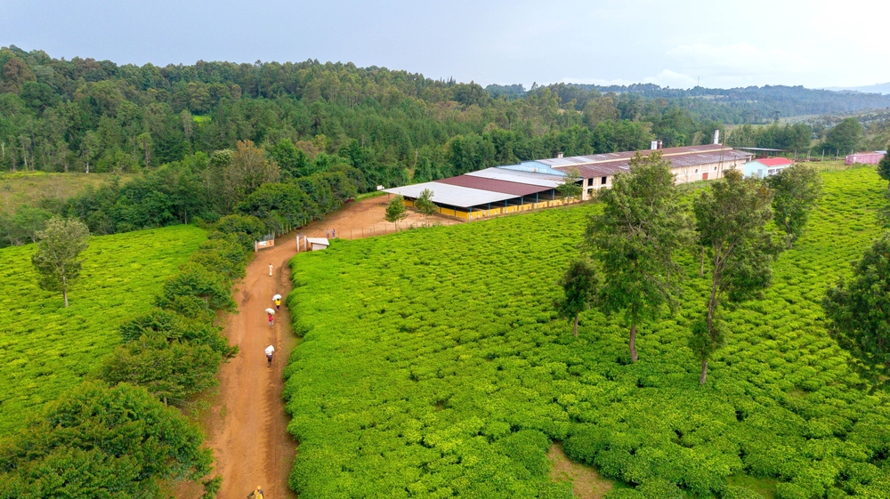 Burundi