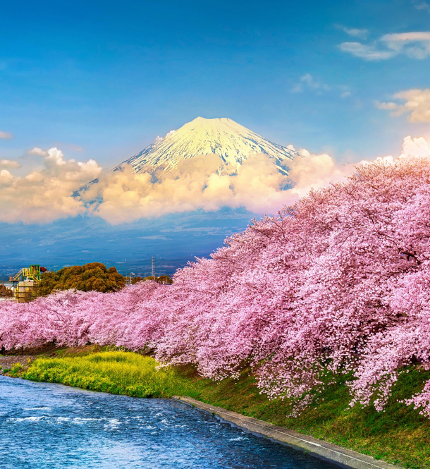 Japon