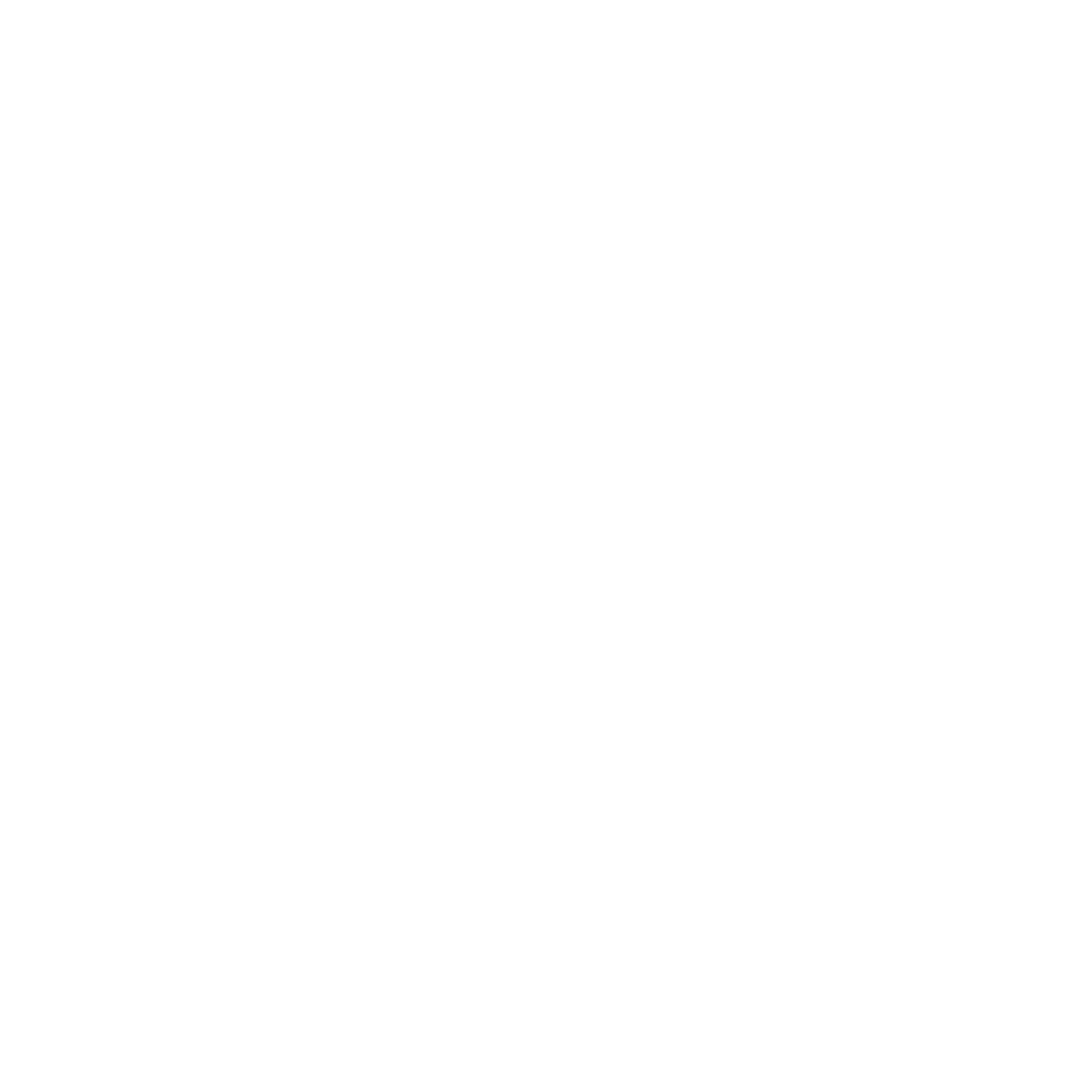 MyFlySim