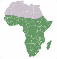 Capture d'écran 2025-06-16 162951 ✈︎ eSIM ♥ BEST AFRIQUE ♥ 1 Go ♥ 30 jours