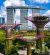 singapore Singapour